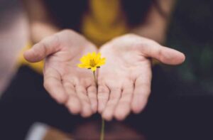 嬉しい気持ちをあらわしたタンポポの花の写真