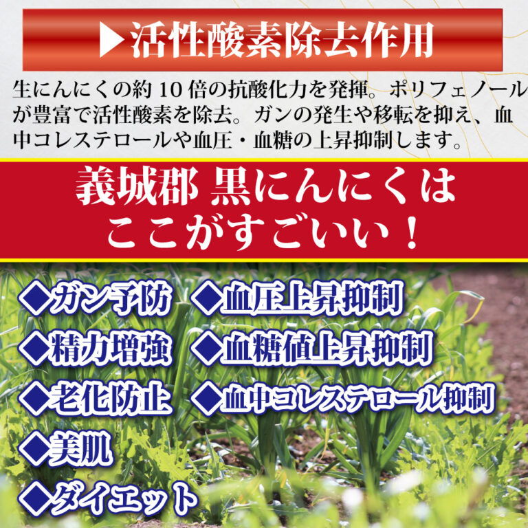 kuroninniku001